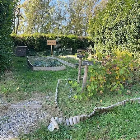 Mobil 3 Ile Du Rhin Tohapi-alsace Biesheim